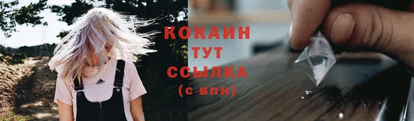 соль ск Кулебаки