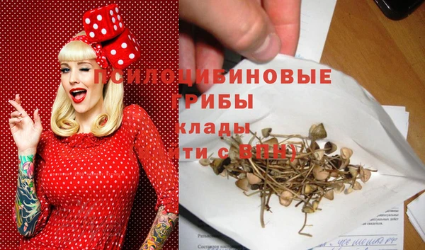 соль ск Кулебаки