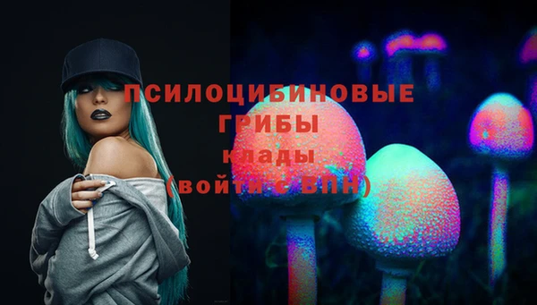 соль ск Кулебаки