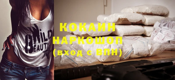 соль ск Кулебаки