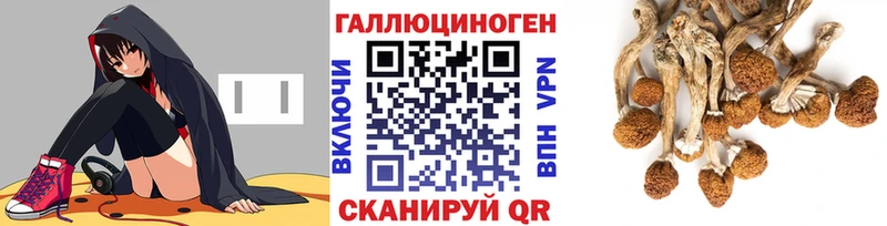 Галлюциногенные грибы ЛСД Мурино