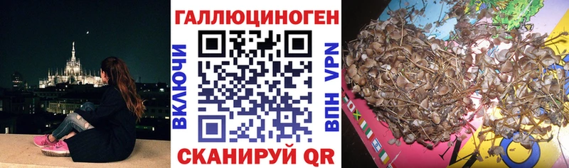 Галлюциногенные грибы ЛСД  Мурино 