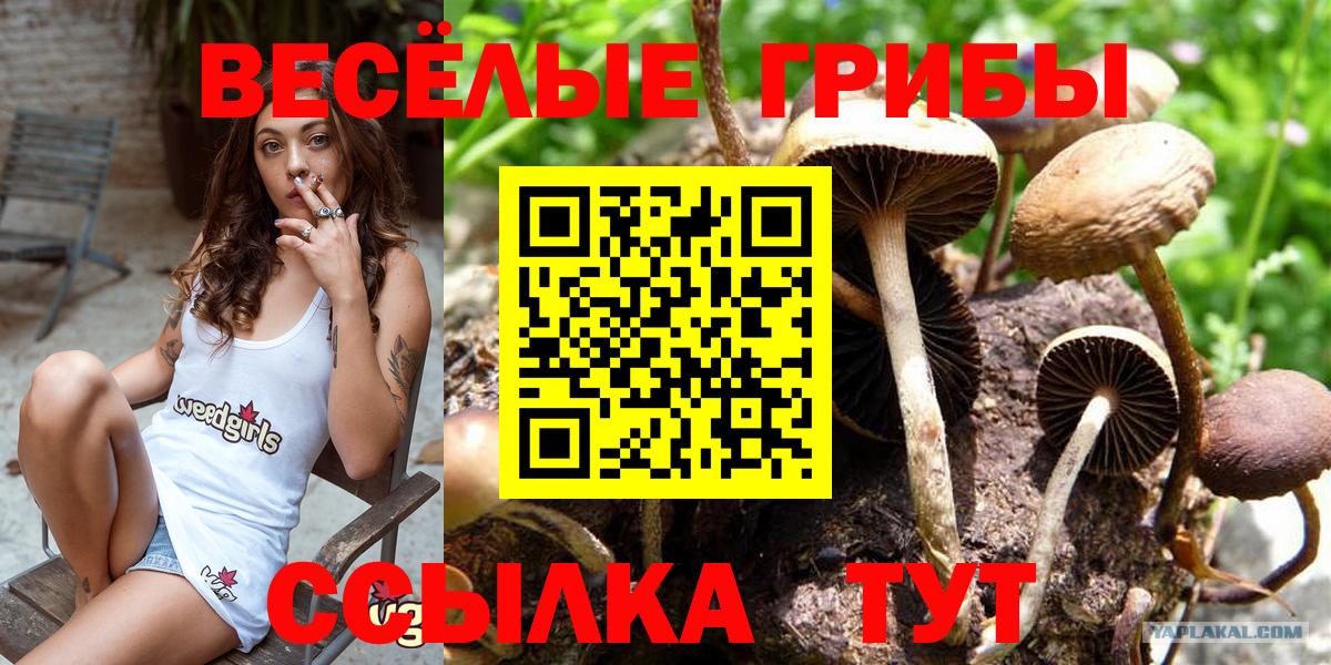 Псилоцибиновые грибы MAGIC MUSHROOMS Мурино