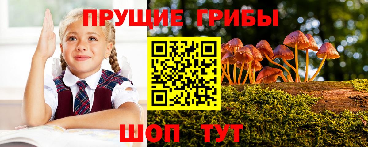Мурино  Псилоцибиновые грибы Psilocybe  Галлюциногенные грибы Cubensis  Вход с VPN 